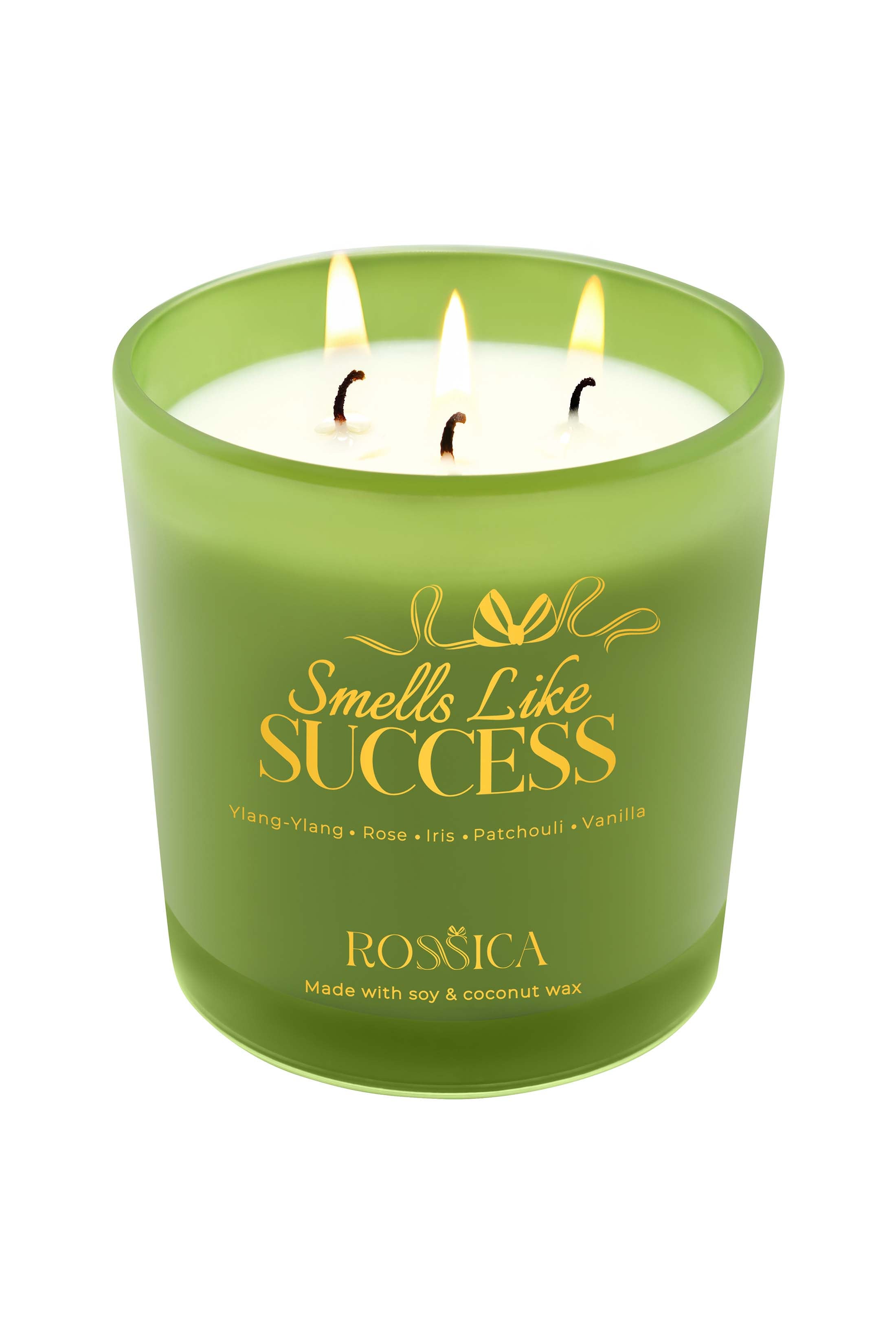 Smells like Success 3 Wick Candle